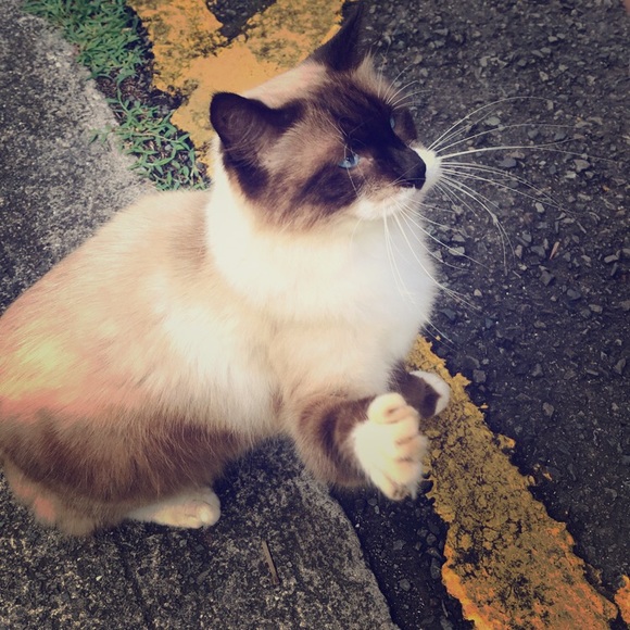 Meet your Posher, Kim - Picture 1 of 2